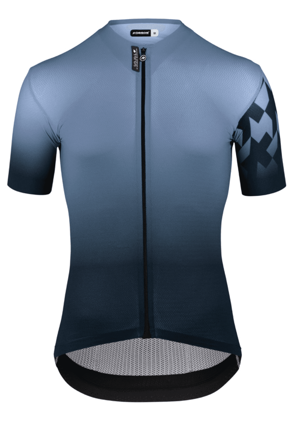 Джерси мужская ASSOS EQUIPE RS S9 TARGA Jersey, Wulf Grey