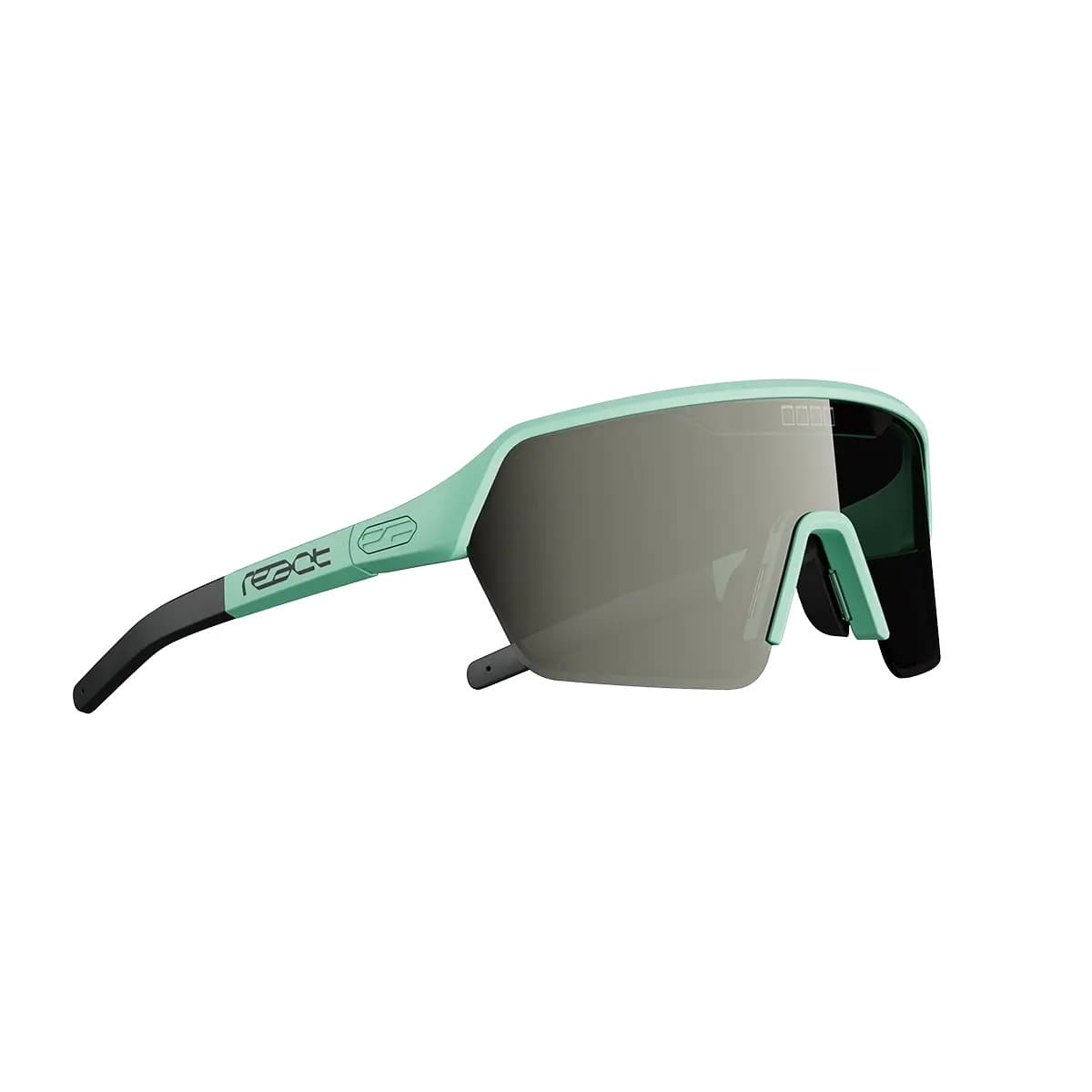 Очки React Ervo, Onyx Mint, фото 1 из 4